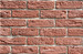 HAND BRICK RED.jpg