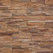 Stone Face Brown.JPG